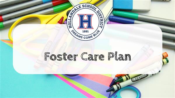 Foster Care Plan Foster Care Plan